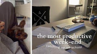 STUDY VLOG | a week-end to catch up on a month of school - uni diaries ep. 3