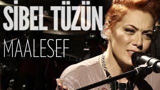 Sibel Tüzün - Maalesef (JoyTurk Akustik)