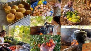 Assim é a vida na roça! Farturão , fogão de lenha, horta, comida boa pra quem não tem preguiça