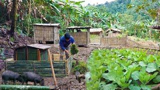 Luu and Phuc build a duck farm to start a business living in the forest | Living With Nature