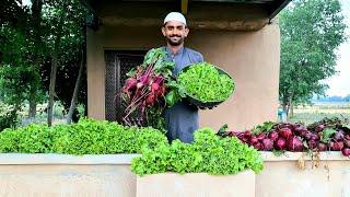 How much earned in the Vegetable market? Sabzi Mindi Ki kamai