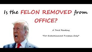 IS TRUMP REMOVED OR DOES HE D1E IN OFFICE, ANONYMOUS VIDEO, THE TACO TRADE PRESSER, Political Tarot