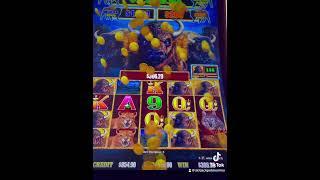 Buffalo Lightning Link Max Bet .10 denom Jackpot #casino #slotplay #slotjackpotmomma #buffalo