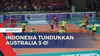 Taklukan Australia, Tim Voli Putri Indonesia Tembus Semifinal di AVC Challenge 2023!