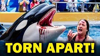 This BRUTAL Orca ATTACK On Trainer Annette Eckis STUNNED The World