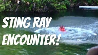 Sting Ray Attack | Riviera Maya, Mexico | Sting Ray Attack