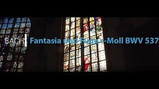 FANTASIA UND FUGE in c-MOLL BWV 537 | JOHANN SEBASTIAN BACH (1685-1750)