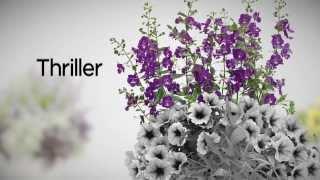 Proven Winners® Gardener Channel: How-To Create The Perfect Container Garden