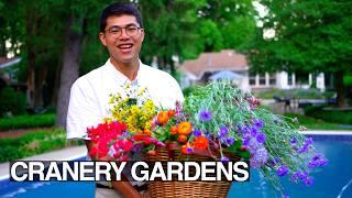 July Cut Flower Garden Tips: Grow, Harvest, Arrange at Home