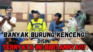 RIVIEW ANUMERTA TEAM FIRGY JUARA 1 LIGA TASIK || TERNYATA RING RAMAYANA⁉️