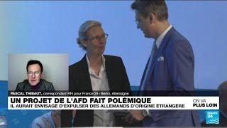 Allemagne : faut-il interdire l'AfD ? • FRANCE 24