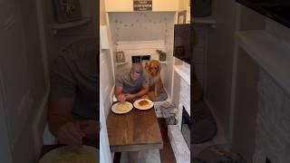 I ate Sunday Dinner in my dogs house! #dog #goldenretriever