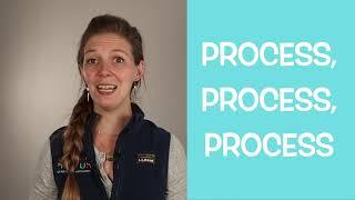 Play Based Learning: ART - Product vs. Process