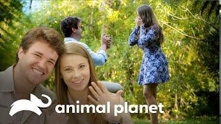 Bindi y Chandler se comprometen en el zoológico | Los Irwin | Animal Planet