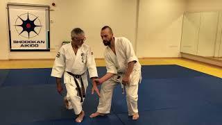 Shodokan aikido. Atemi waza from same side grip