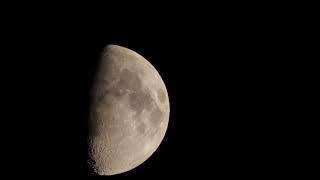 Moon Lumix G9 with Jintu 420-800mm