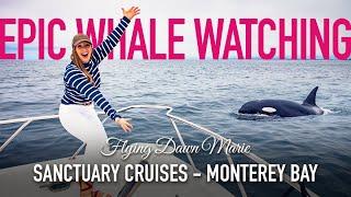 253: Epic Whale Watching Tour in Monterey Bay (ORCAS!) - Sanctuary Cruises PRIVATE YACHT Charter