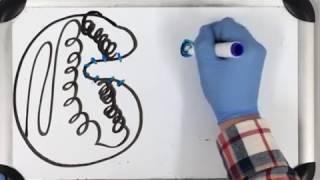 Enzyme Function Basics Tutorial