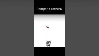 Поиграй с котиком