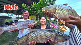 Trúng Tiếp Ổ Cá Khủng Nhấc Mỏi Tay Và Quang Cảnh Hoa..ng Tàn Sau Khi Lũ Rút / Quế Nghịch