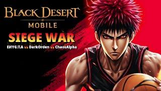  Entering "THE ZONE" - Siege War【Black Desert Mobile】