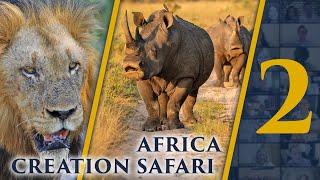 Africa Creation Safari 2 | NEW Zoom Tour | Bible Tours