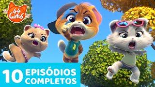 44 Gatos | 10 Episódios completos  | Momentos gatásticos #2 | Temporada 1