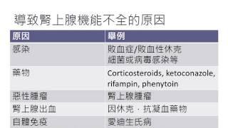 腎上腺皮質功能不全 上