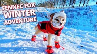 Adorable Fennec Fox's Snowy Escape ️ Hotel Stay, Mexican Feast & Pancakes!