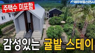[매물번호0519] 평균 1박 50만원대 감성 숙소로 운영 잘 되고 있는 390평 대지 귤밭과 스테이 #제주도부동산