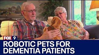 Robotic pets used to help dementia patients I KMSP FOX 9