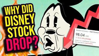 Disney Stock CRASHED Because of the Parks?!