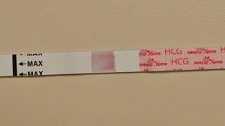 live pregnancy test 7 dpo