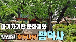 아기자기한 문화재와 가장 오래된 호두나무, 천안 광덕사 [좋은절 #33/ 충북사찰/ 천안가볼만한곳]