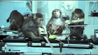 Basement Jaxx - Where's Your Head At (Official Video)