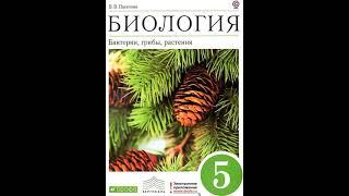 Биология 5 класс. Бактерии, грибы, растения. Пасечник В.В. Параграф 16.