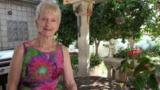 How does my garden grow - Anita's Garden - Mallorca - Majorca - 16th October 2024