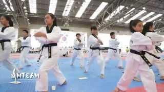 Team-M Taekwondo: Demonstration - 2015 International Taekwondo Festival