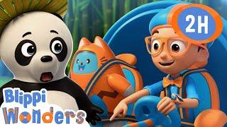 Panda  | Blippi Wonders | Moonbug Kids - Play and Learn