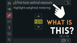 What is Nikon's Fine-Tune Optimal Exposure?