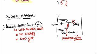 ***General Pharmacology: Pharmacokinetics