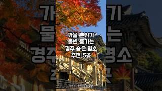 가을에 꼭 가봐야 할 경주 여행! 숨은 명소 5곳 추천 #경주_명소 #가을_여행지_추천