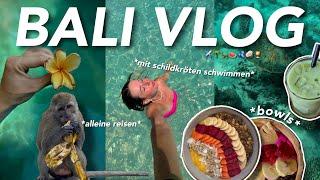 bali vlog ️ *alleine durch asien* | schildkröten, bowls & island hopping