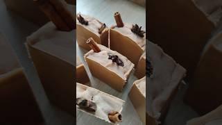 Натуральное мыло "с нуля" / Мыло ручной работы из масел / Мыловарение / Домашняя косметика