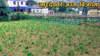 भारदेवको जग्गा बिक्रीमा ।  Land on sale at Bhardev, Lalitpur.