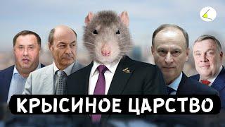 «Крысиное Царство» | Путинизм как он есть #8