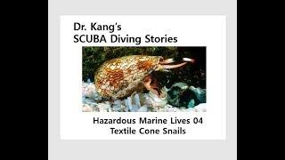 Dr. Kang's SCUBA Diving Stories - testile cone snail