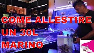 ALLESTIRE ACQUARIO MARINO 30 LITRI by Tropicalmania