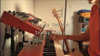 Trinity (Outro) - Snarky Puppy // Cover