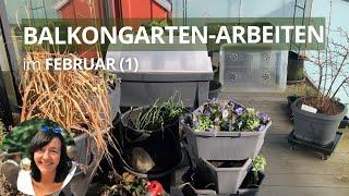 Balkongarten-Arbeiten im Februar (Teil 1): das habe ich diese Woche erledigt + Anzucht Update